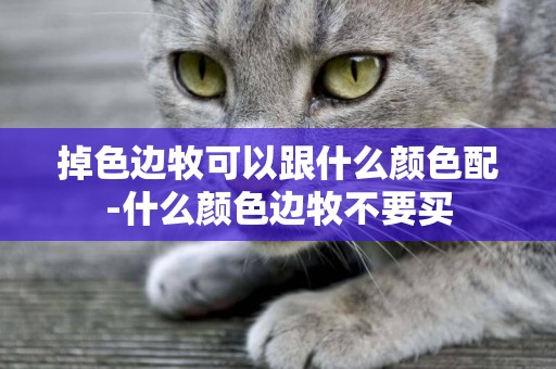 掉色邊牧可以跟什么顏色配-什么顏色邊牧不要買