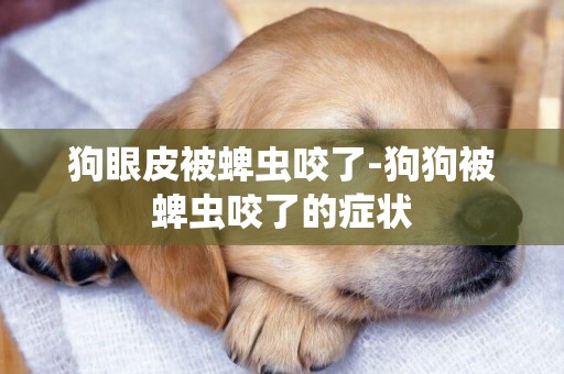 狗眼皮被蜱蟲咬了-狗狗被蜱蟲咬了的癥狀