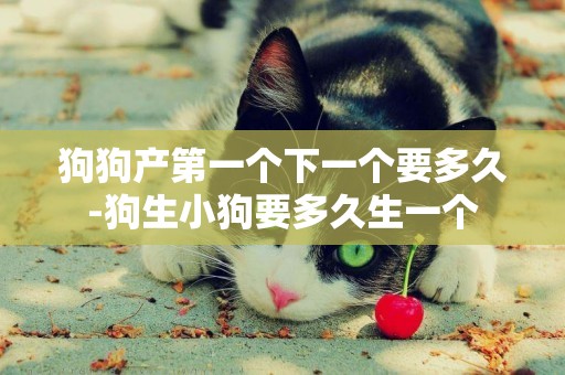 狗狗產第一個下一個要多久-狗生小狗要多久生一個