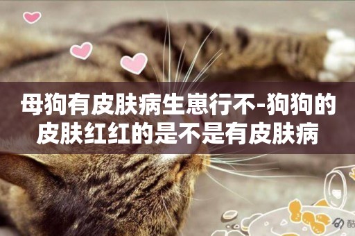 母狗有皮膚病生崽行不-狗狗的皮膚紅紅的是不是有皮膚病