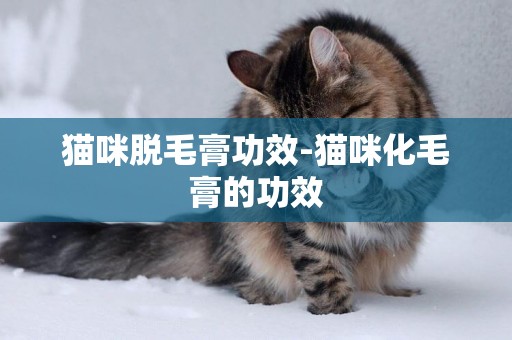 貓咪脫毛膏功效-貓咪化毛膏的功效