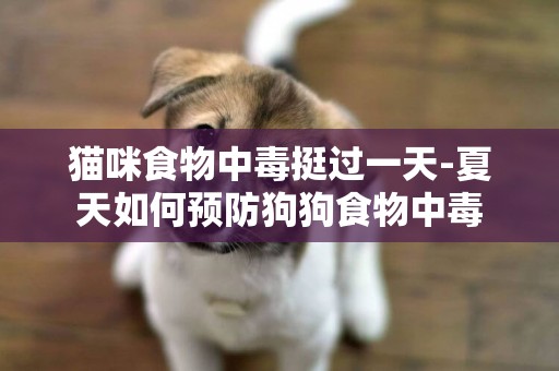 貓咪食物中毒挺過一天-夏天如何預防狗狗食物中毒