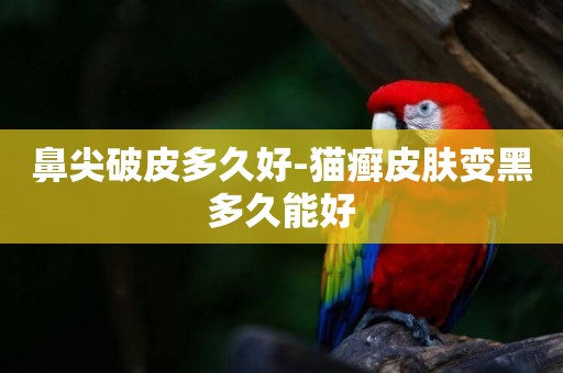 鼻尖破皮多久好-貓癬皮膚變黑多久能好