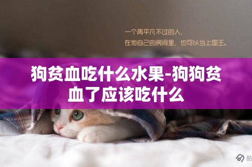 狗貧血吃什么水果-狗狗貧血了應該吃什么