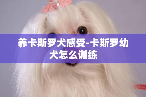 養卡斯羅犬感受-卡斯羅幼犬怎么訓練