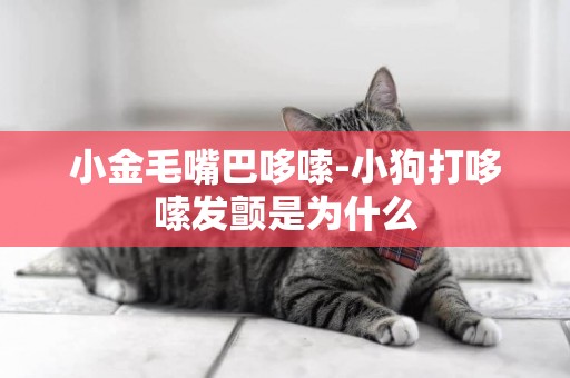 小金毛嘴巴哆嗦-小狗打哆嗦發顫是為什么