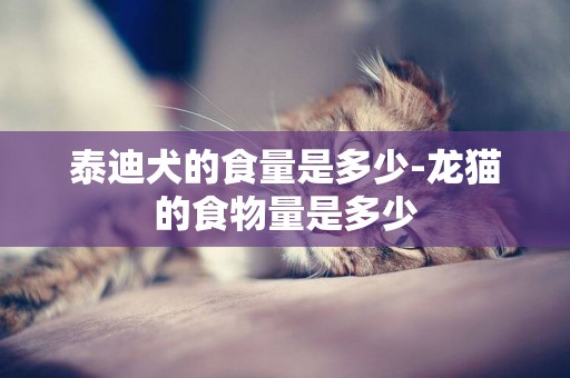 泰迪犬的食量是多少-龍貓的食物量是多少