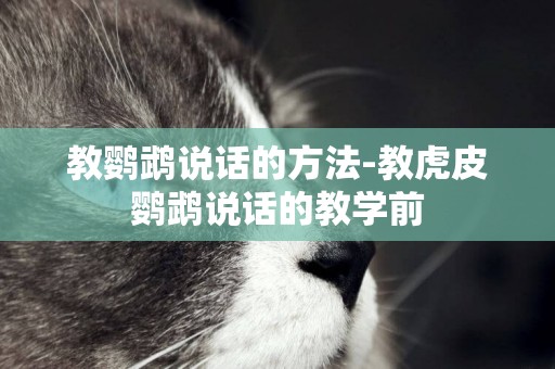 教鸚鵡說話的方法-教虎皮鸚鵡說話的教學前