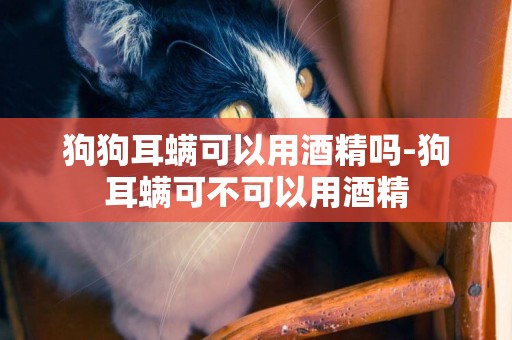 狗狗耳螨可以用酒精嗎-狗耳螨可不可以用酒精