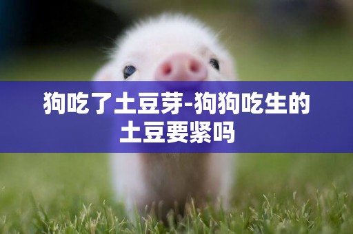 狗吃了土豆芽-狗狗吃生的土豆要緊嗎