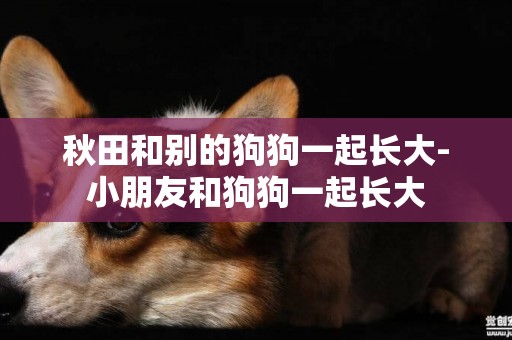 秋田和別的狗狗一起長大-小朋友和狗狗一起長大