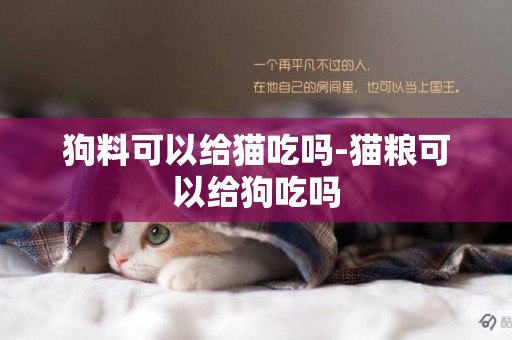 狗料可以給貓吃嗎-貓糧可以給狗吃嗎