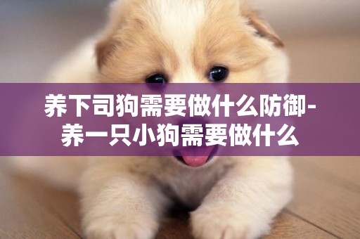 養下司狗需要做什么防御-養一只小狗需要做什么