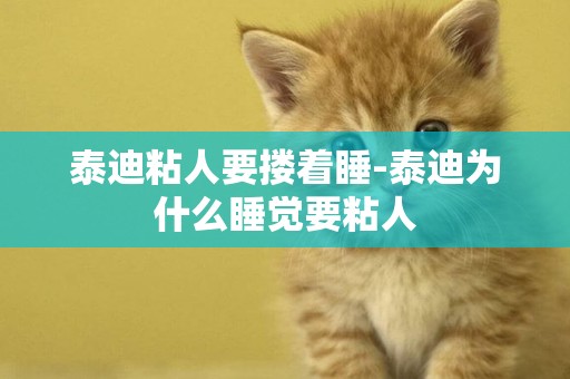 泰迪粘人要摟著睡-泰迪為什么睡覺要粘人