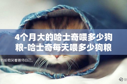 4個月大的哈士奇喂多少狗糧-哈士奇每天喂多少狗糧