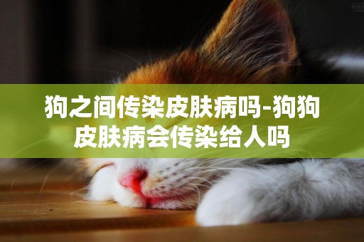 狗之間傳染皮膚病嗎-狗狗皮膚病會傳染給人嗎