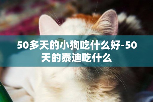 50多天的小狗吃什么好-50天的泰迪吃什么