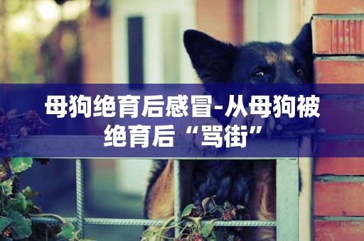 母狗絕育后感冒-從母狗被絕育后“罵街”