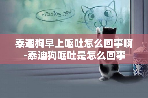 泰迪狗早上嘔吐怎么回事啊-泰迪狗嘔吐是怎么回事
