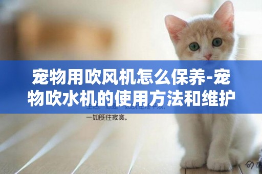 寵物用吹風機怎么保養-寵物吹水機的使用方法和維護保養