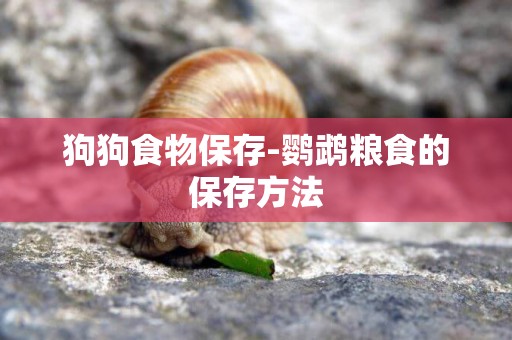 狗狗食物保存-鸚鵡糧食的保存方法