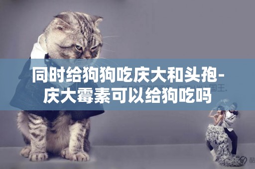 同時給狗狗吃慶大和頭孢-慶大霉素可以給狗吃嗎