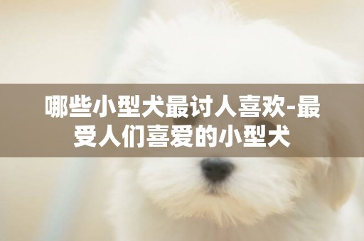 哪些小型犬最討人喜歡-最受人們喜愛的小型犬