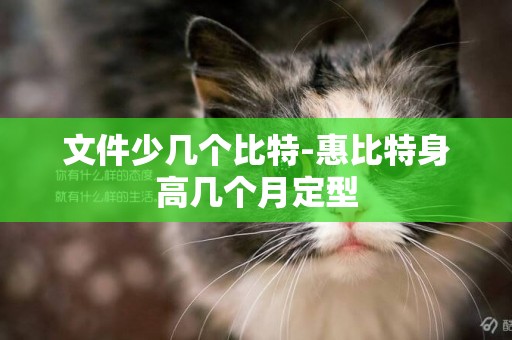 文件少幾個比特-惠比特身高幾個月定型