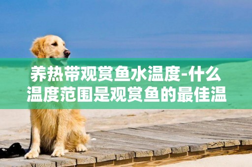 養熱帶觀賞魚水溫度-什么溫度范圍是觀賞魚的最佳溫度