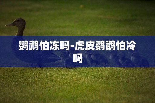 鸚鵡怕凍嗎-虎皮鸚鵡怕冷嗎