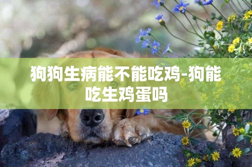 狗狗生病能不能吃雞-狗能吃生雞蛋嗎