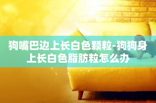 狗嘴巴邊上長白色顆粒-狗狗身上長白色脂肪粒怎么辦