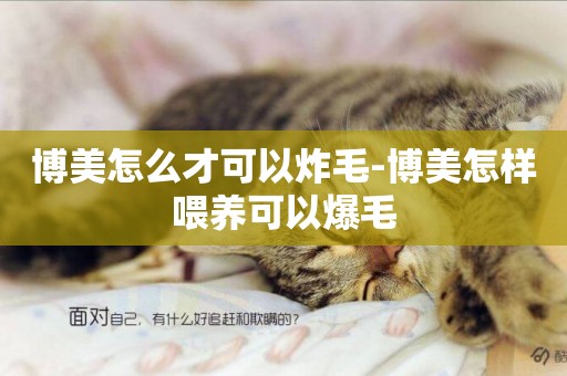 博美怎么才可以炸毛-博美怎樣喂養可以爆毛