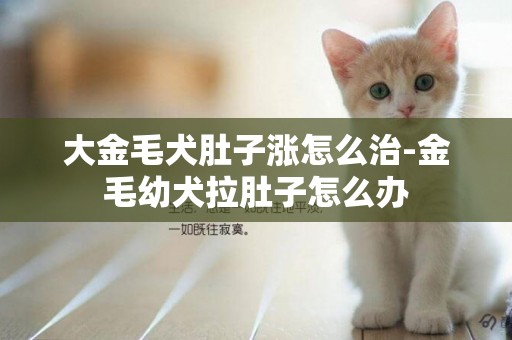 大金毛犬肚子漲怎么治-金毛幼犬拉肚子怎么辦