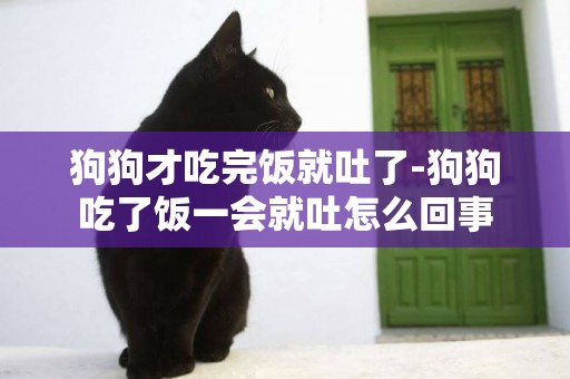 狗狗才吃完飯就吐了-狗狗吃了飯一會就吐怎么回事