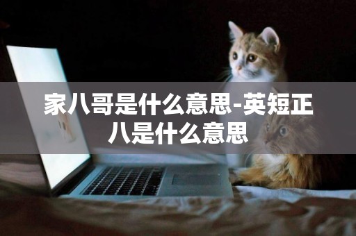 家八哥是什么意思-英短正八是什么意思
