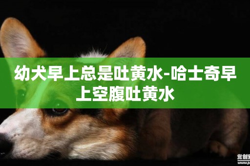 幼犬早上總是吐黃水-哈士奇早上空腹吐黃水