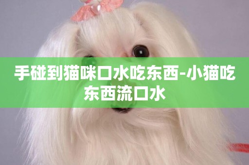 手碰到貓咪口水吃東西-小貓吃東西流口水