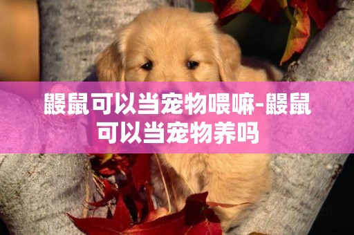 鼴鼠可以當寵物喂嘛-鼴鼠可以當寵物養嗎