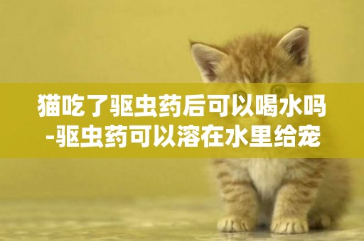 貓吃了驅蟲藥后可以喝水嗎-驅蟲藥可以溶在水里給寵物喂嗎