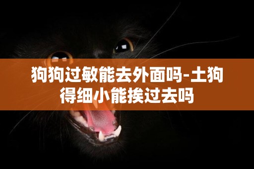狗狗過敏能去外面嗎-土狗得細小能挨過去嗎
