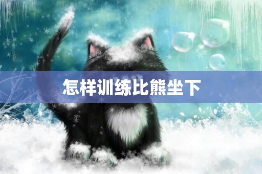 怎樣訓練比熊坐下