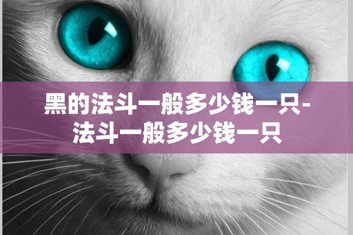 黑的法斗一般多少錢一只-法斗一般多少錢一只