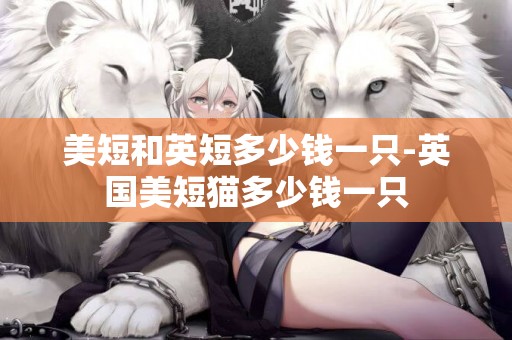 美短和英短多少錢一只-英國美短貓多少錢一只