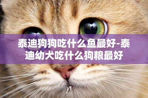 泰迪狗狗吃什么魚最好-泰迪幼犬吃什么狗糧最好