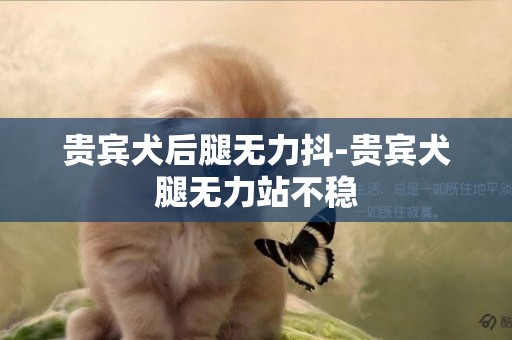 貴賓犬后腿無力抖-貴賓犬腿無力站不穩