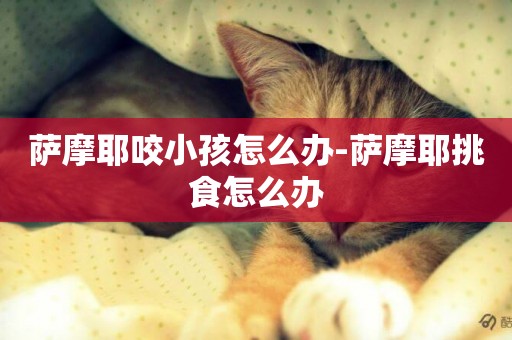 薩摩耶咬小孩怎么辦-薩摩耶挑食怎么辦