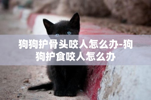 狗狗護骨頭咬人怎么辦-狗狗護食咬人怎么辦