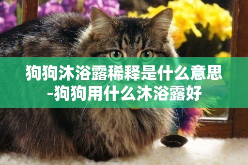 狗狗沐浴露稀釋是什么意思-狗狗用什么沐浴露好