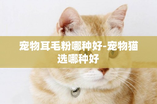 寵物耳毛粉哪種好-寵物貓選哪種好